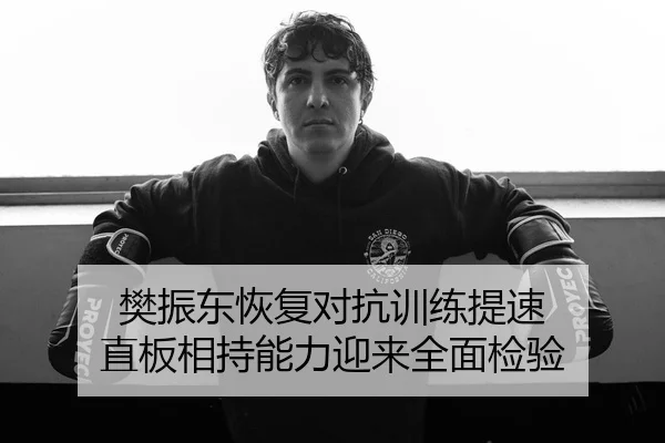 樊振东恢复对抗训练提速 直板相持能力迎来全面检验